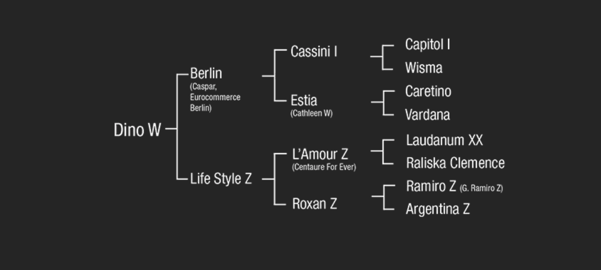 The pedigree of Dino W 